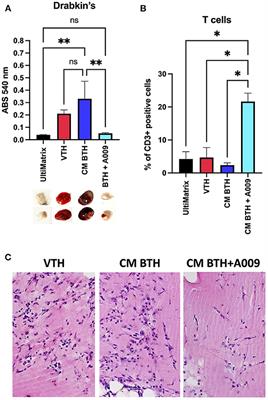 An Olive Oil Mill Wastewater Extract Improves Chemotherapeutic Activity Against Breast Cancer Cells While Protecting From Cardiotoxicity